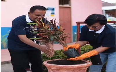 Awali Rangkaian HUT Sekolah, SMP Negeri 19 Ambon Gelar Pencanangan Lewat Aksi Tanam Pohon Gadihu